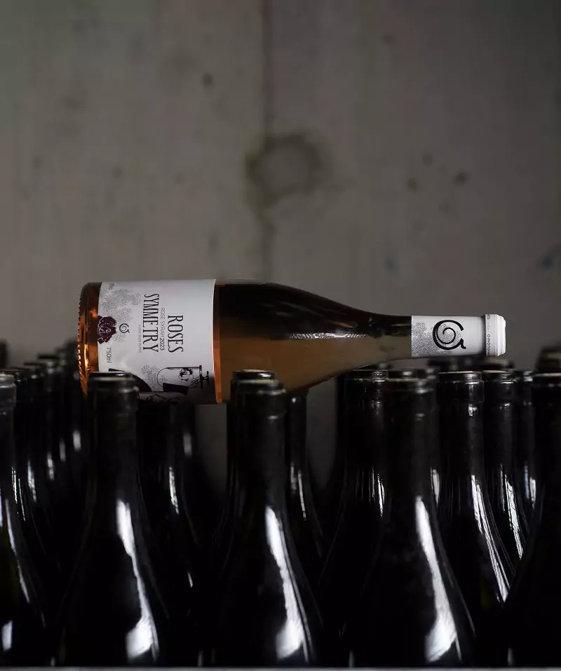 img-6090-67361731a371d